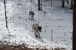 002_2009-0214-1317-31.jpg